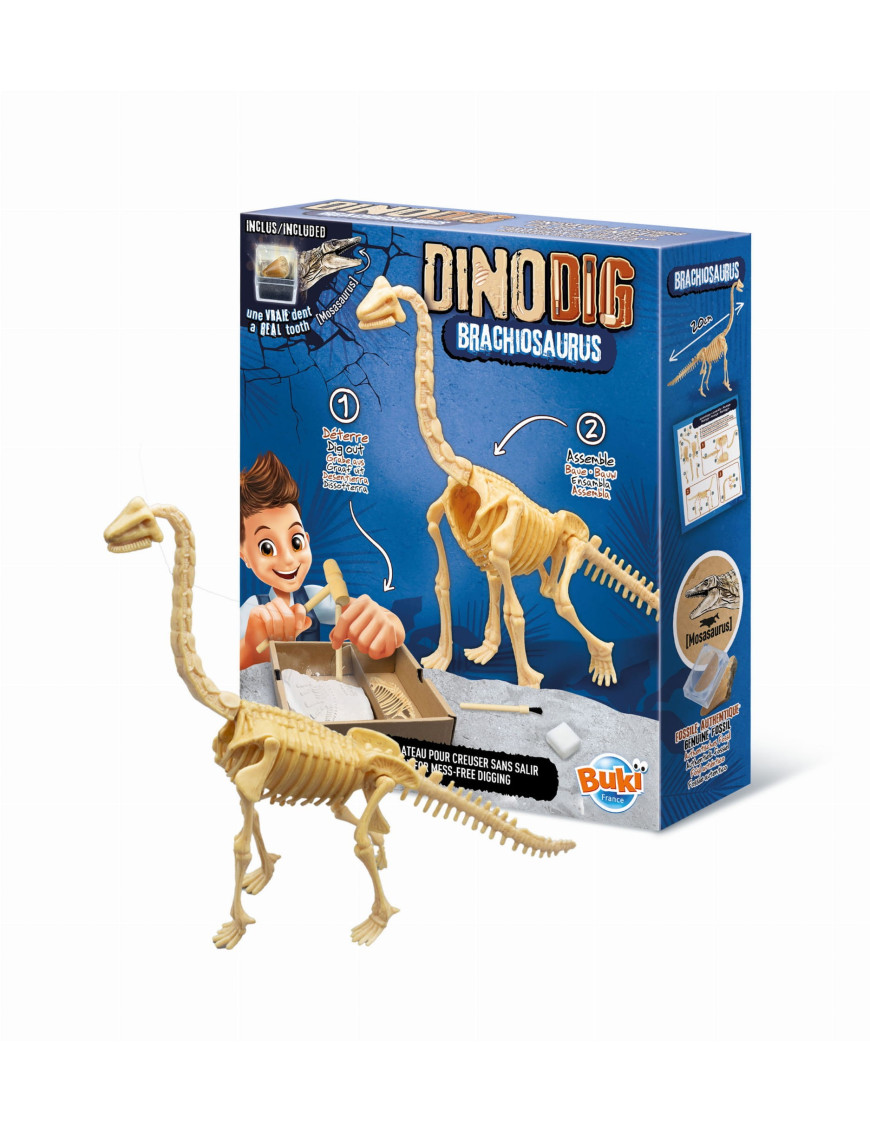 Mały paleontolog - Brachiozaur Buki