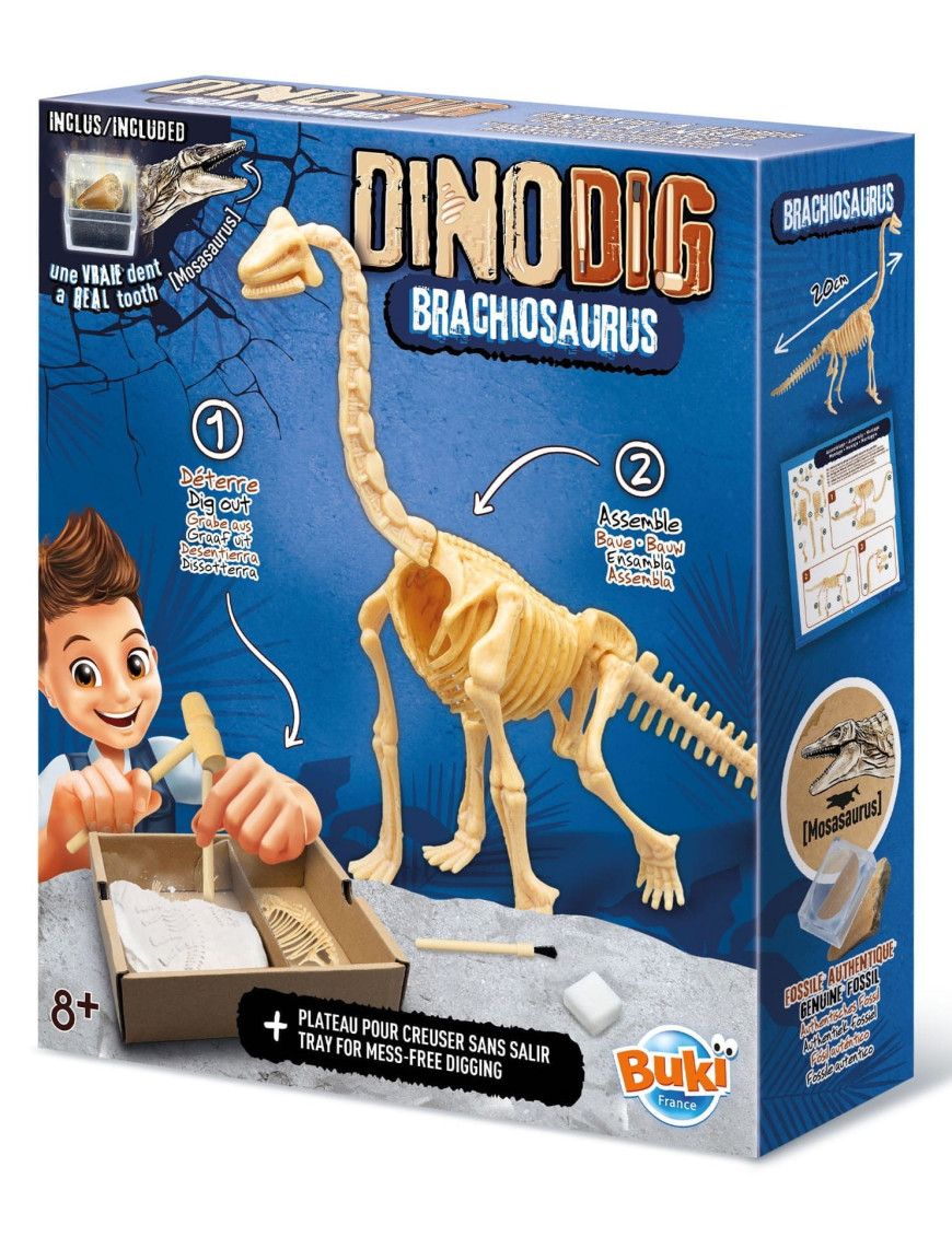 Mały paleontolog - Brachiozaur Buki