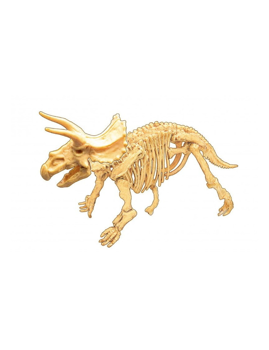 Mały paleontolog - Triceratops Buki