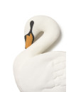Poduszka Łabędź, Swan Lake, Lorena Canals