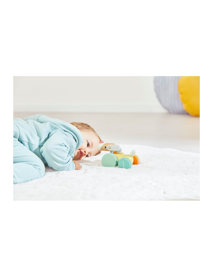 Janod piesek drewniany Zigolos 12m+ Janod piesek drewniany Zigolos 12m+