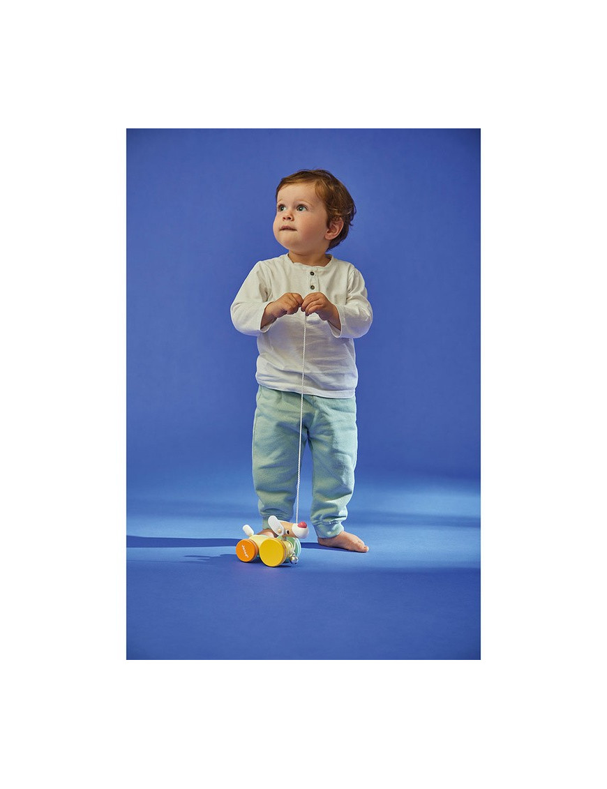 Janod piesek drewniany Zigolos 12m+ Janod piesek drewniany Zigolos 12m+
