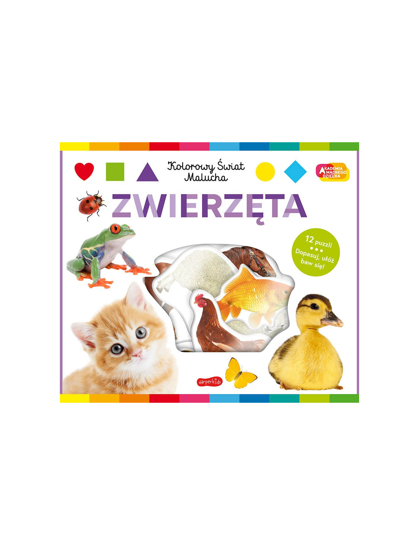 Zwierzęta. Akademia mądrego dziecka. Kolorowy świat malucha