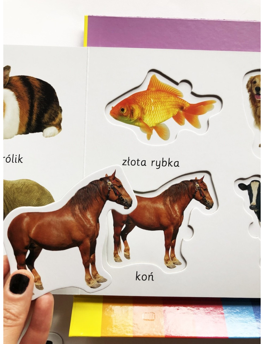 Zwierzęta. Akademia mądrego dziecka. Kolorowy świat malucha