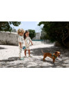 Dziecięcy kostium kąpielowy z krótkim rękawem (ochrona UV60+) – BEACH DOG Lassig