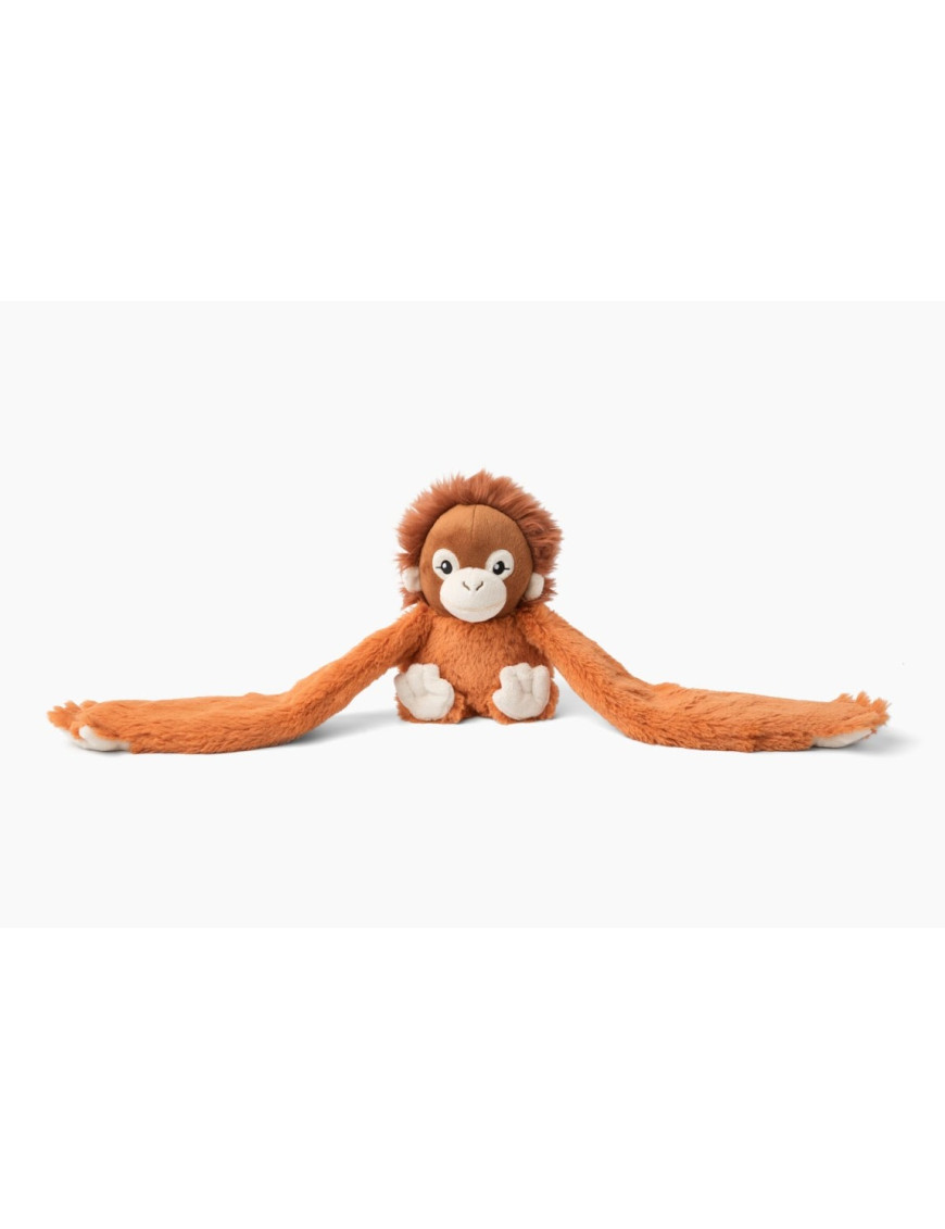Orangutan Ollie