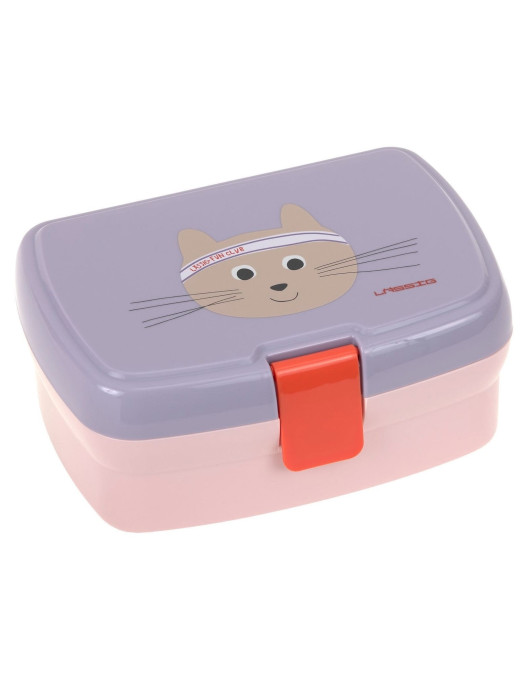 Lunchbox dla dzieci LASSIG Tiny Team z przegródką | Ecobobo