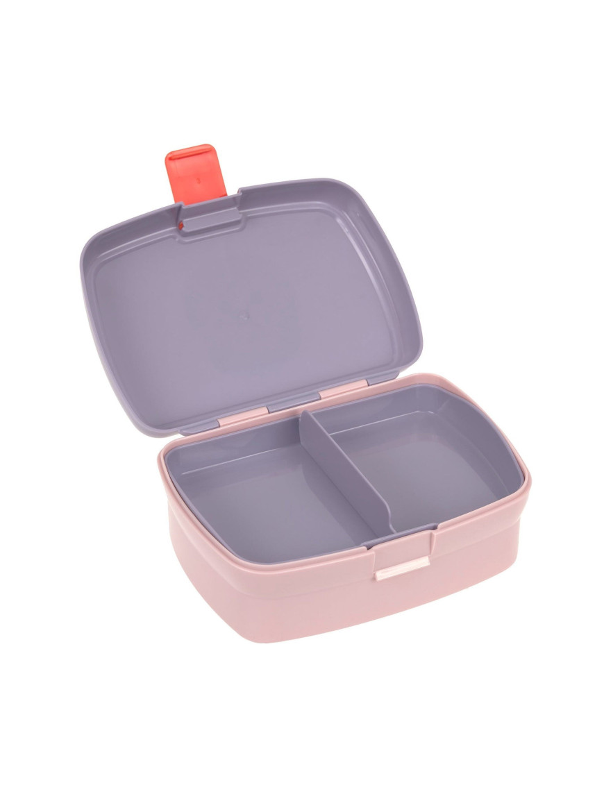 Lunchbox dla dzieci LASSIG Tiny Team z przegródką | Ecobobo