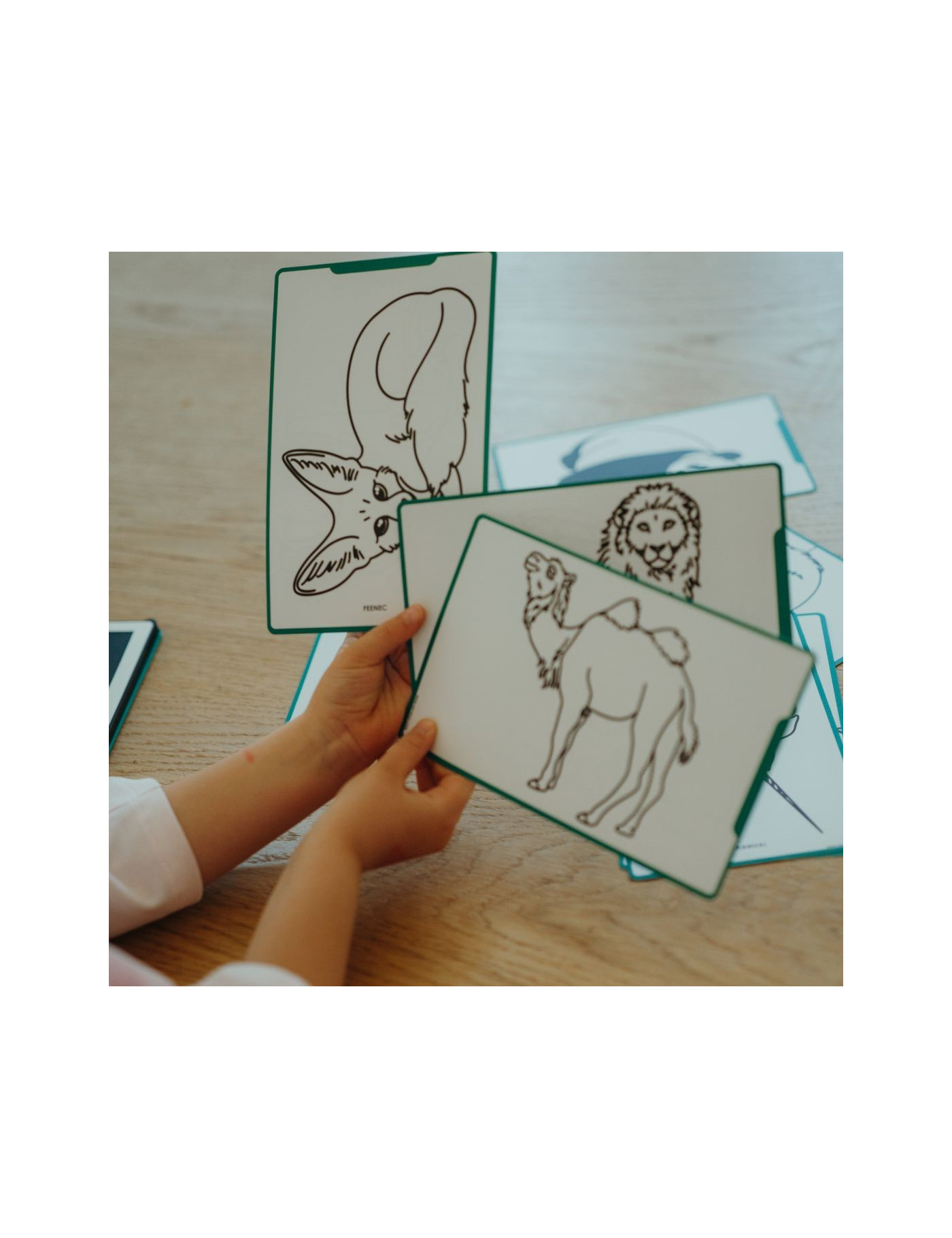 KIDYDRAW MINI – Karty do Rysowania Zwierzęta i Oceany | Ecobobo KIDYDRAW MINI – Karty do Rysowania Zwierzęta i Oceany | Ecobobo
