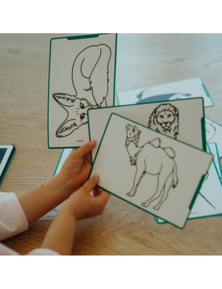 KIDYDRAW MINI – Karty do Rysowania Zwierzęta i Oceany | Ecobobo KIDYDRAW MINI – Karty do Rysowania Zwierzęta i Oceany | Ecobobo