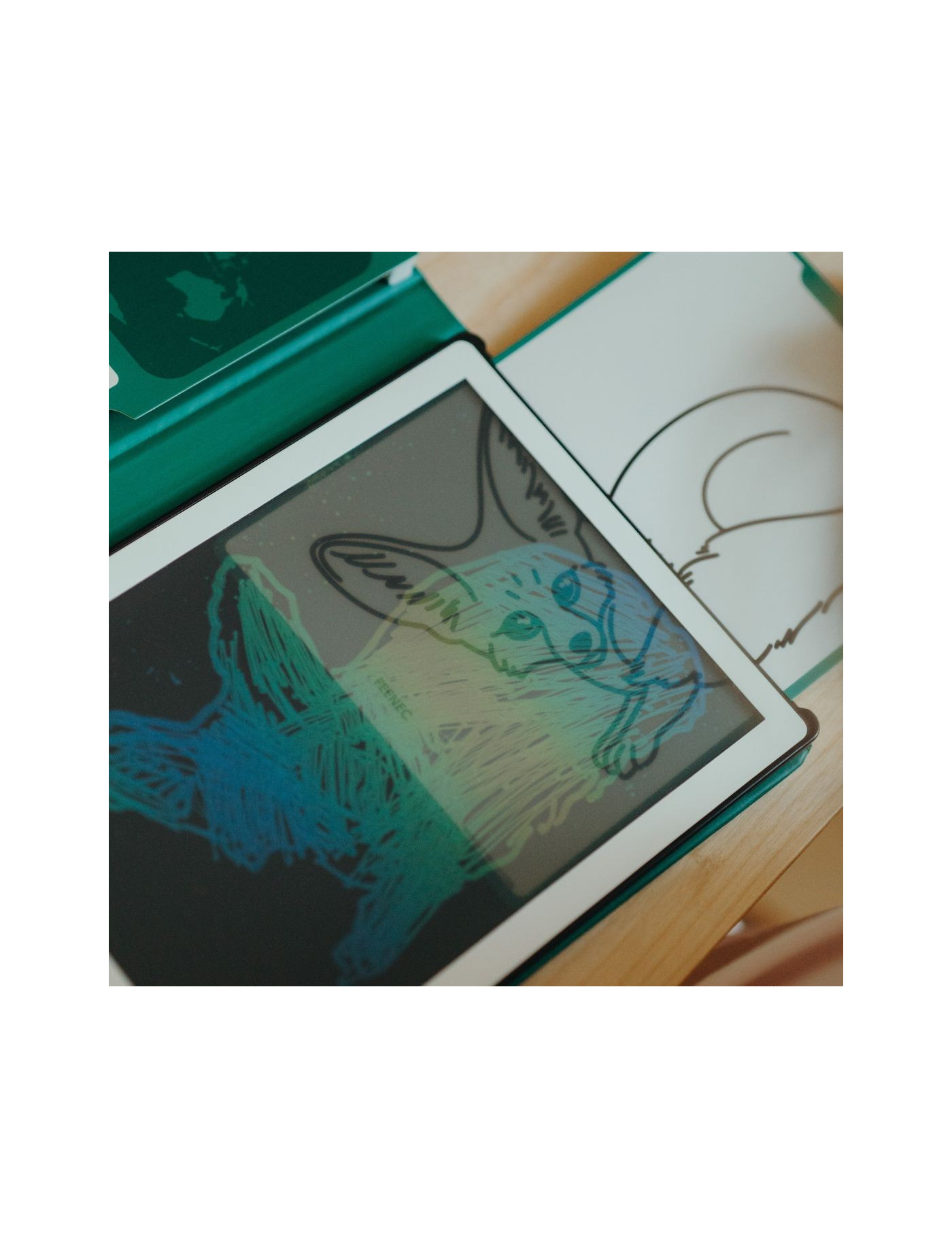 KIDYDRAW MINI – Karty do Rysowania Zwierzęta i Oceany | Ecobobo KIDYDRAW MINI – Karty do Rysowania Zwierzęta i Oceany | Ecobobo
