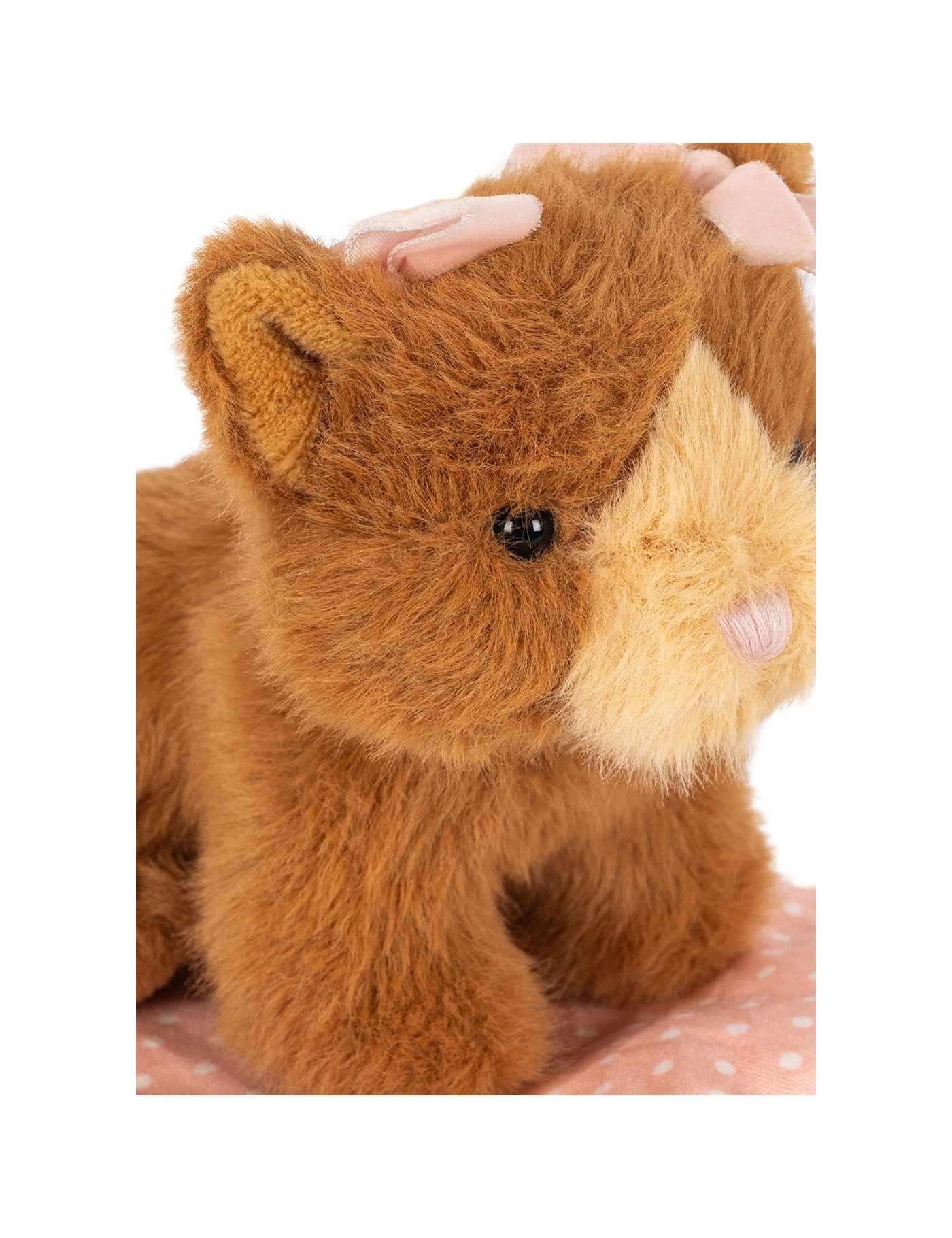 Take Care of Me Animals – Zwierzątko z Domkiem 18m+ | Ecobobo