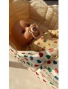 Doll Lift – Bawełniane Nosidełko dla Lalek | Ecobobo