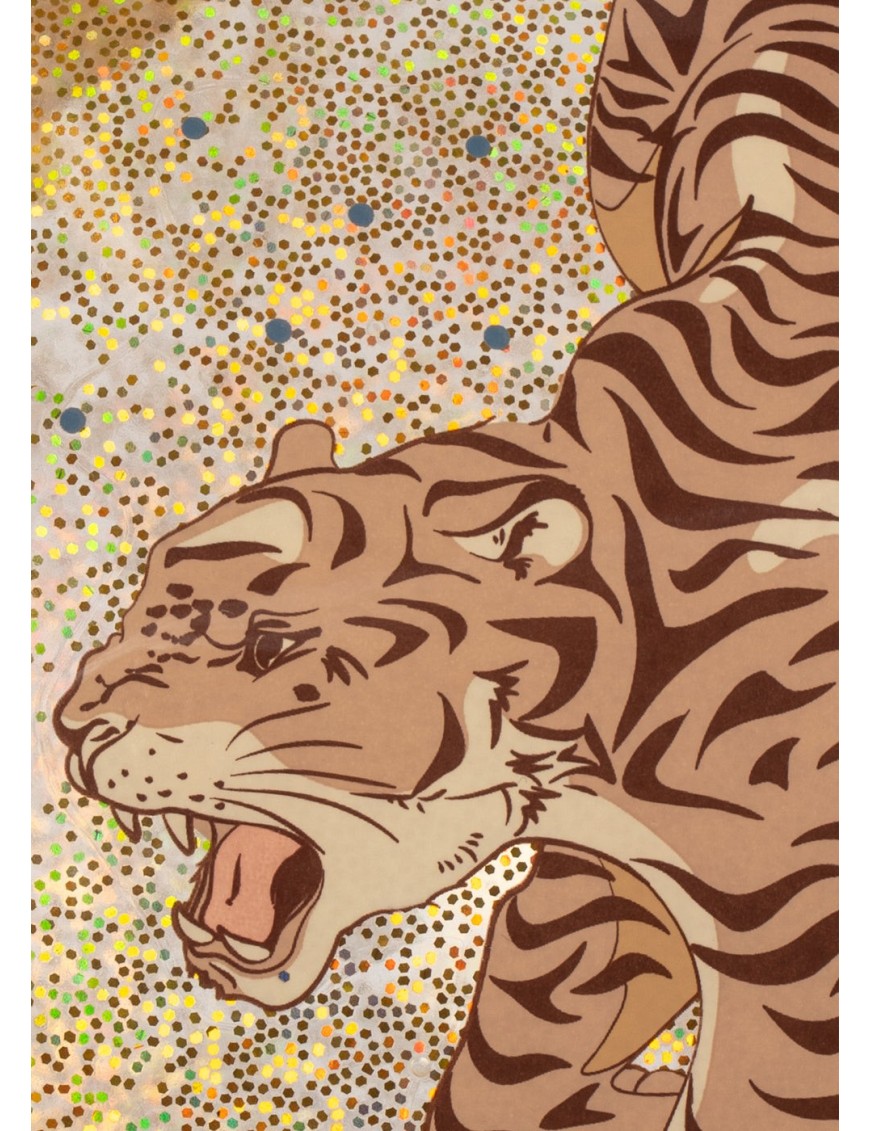 KS jump ball tiger KS jump ball tiger