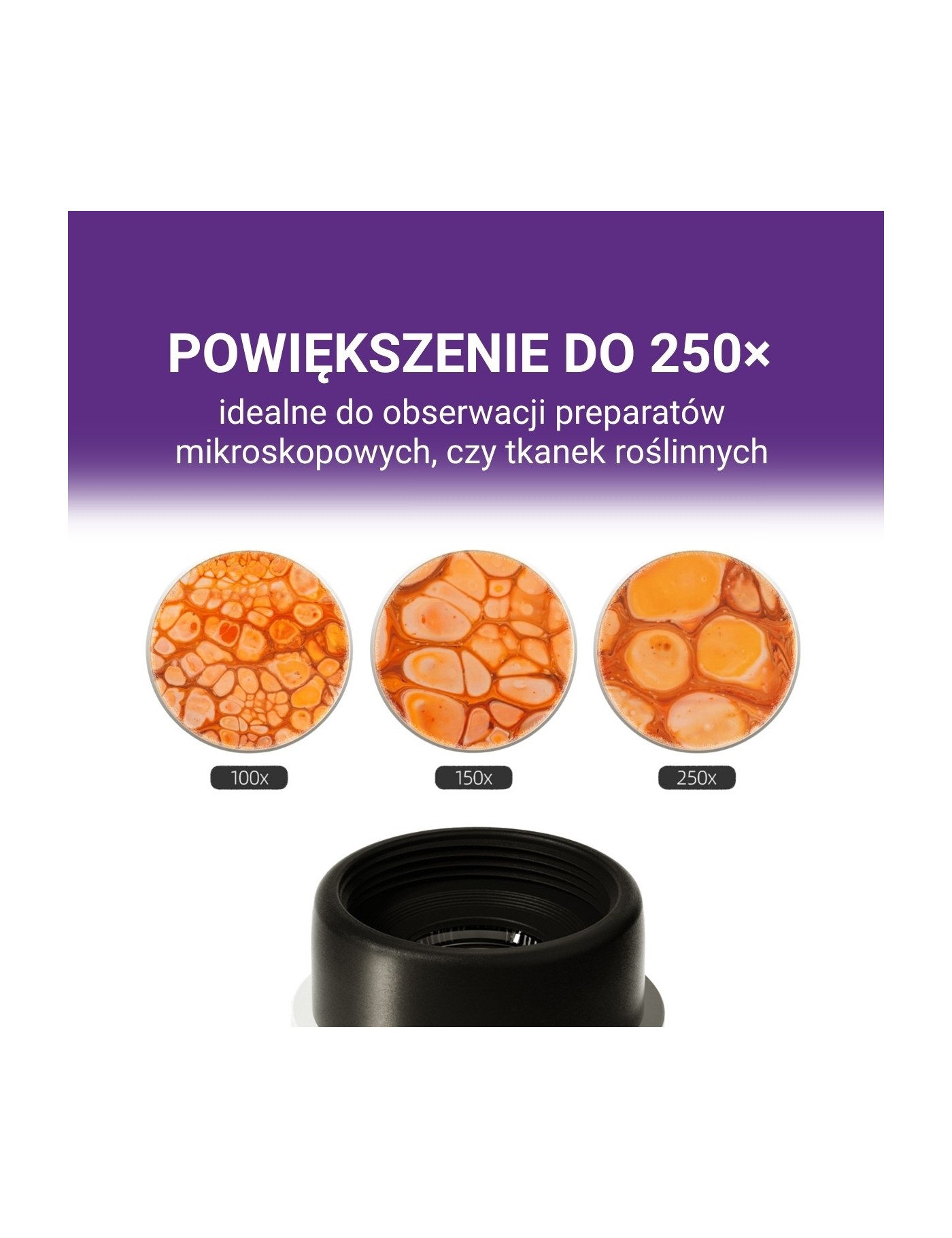 TOPBRIGHT Mikroskop Edukacyjny 1600× | Ecobobo TOPBRIGHT Mikroskop Edukacyjny 1600× | Ecobobo