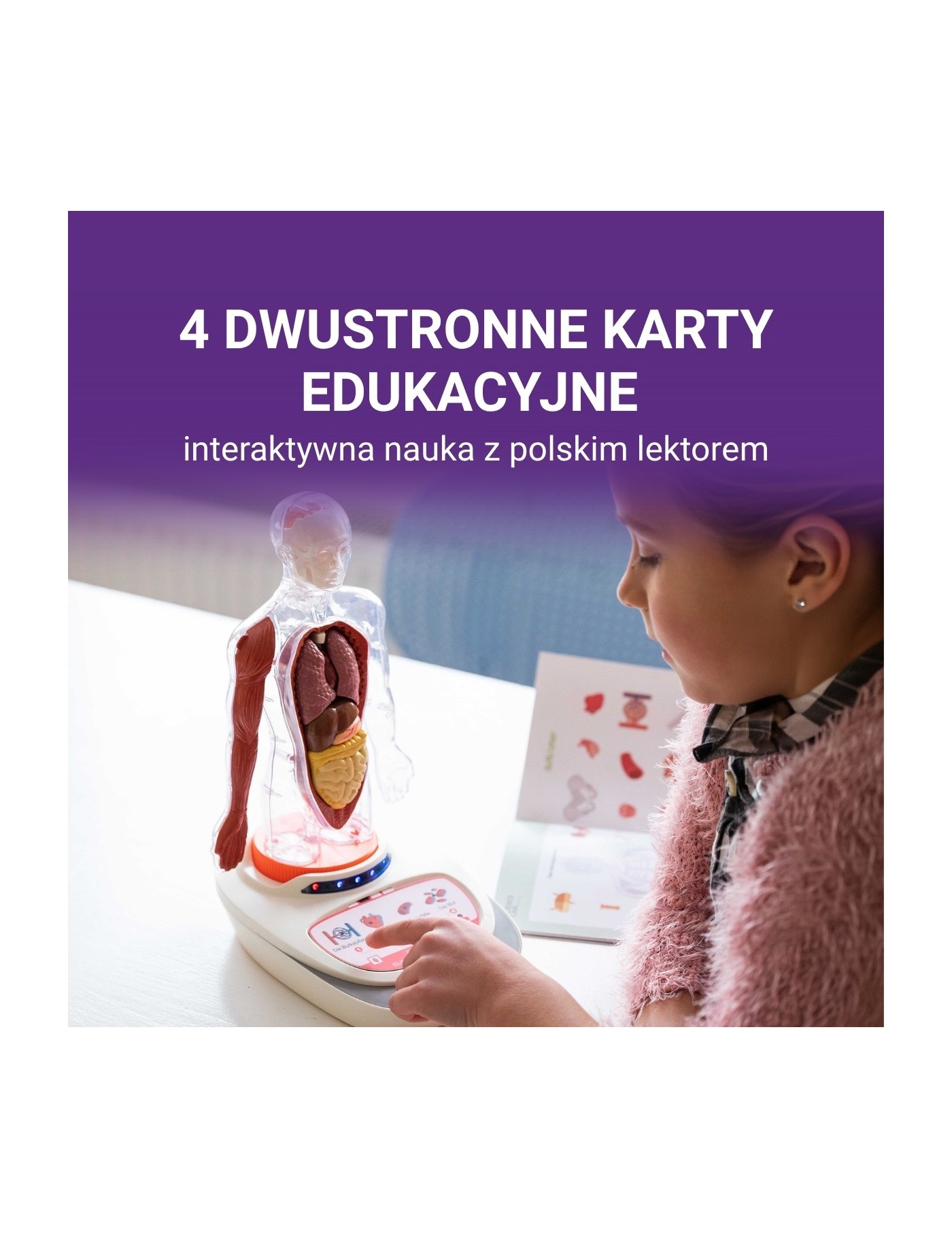 Ciało Człowieka. Interaktywny model 3D 6+, Science Can Ciało Człowieka. Interaktywny model 3D 6+, Science Can