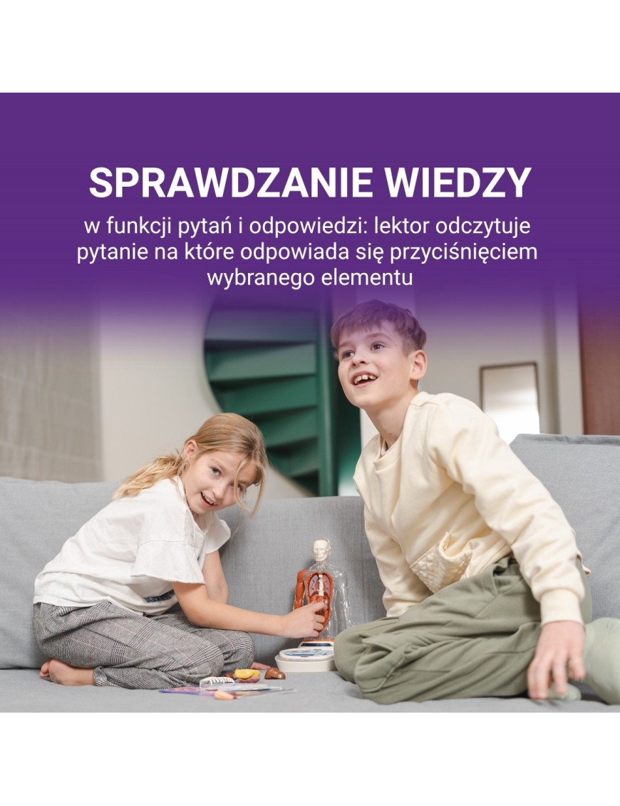 Ciało Człowieka. Interaktywny model 3D 6+, Science Can Ciało Człowieka. Interaktywny model 3D 6+, Science Can