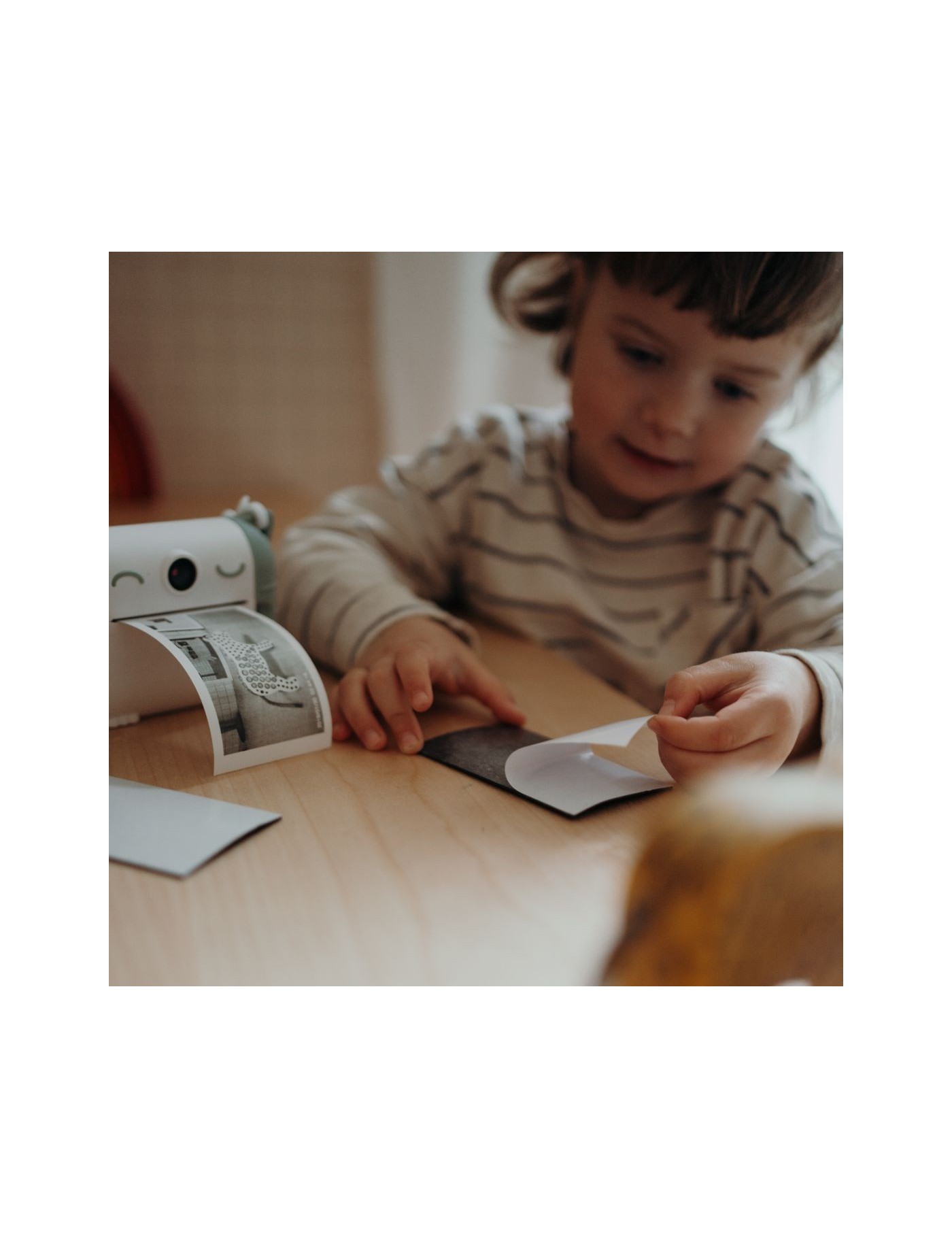 KIDYROLL Papier Samoprzylepny 5 Rolek | Ecobobo