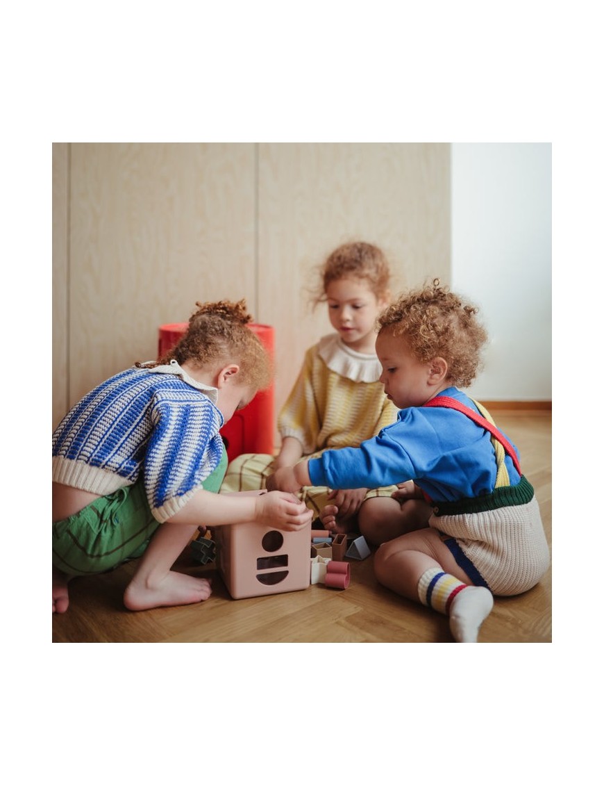 Shape Sorting Box – Sorter Kształtów 12 Elementów | Ecobobo