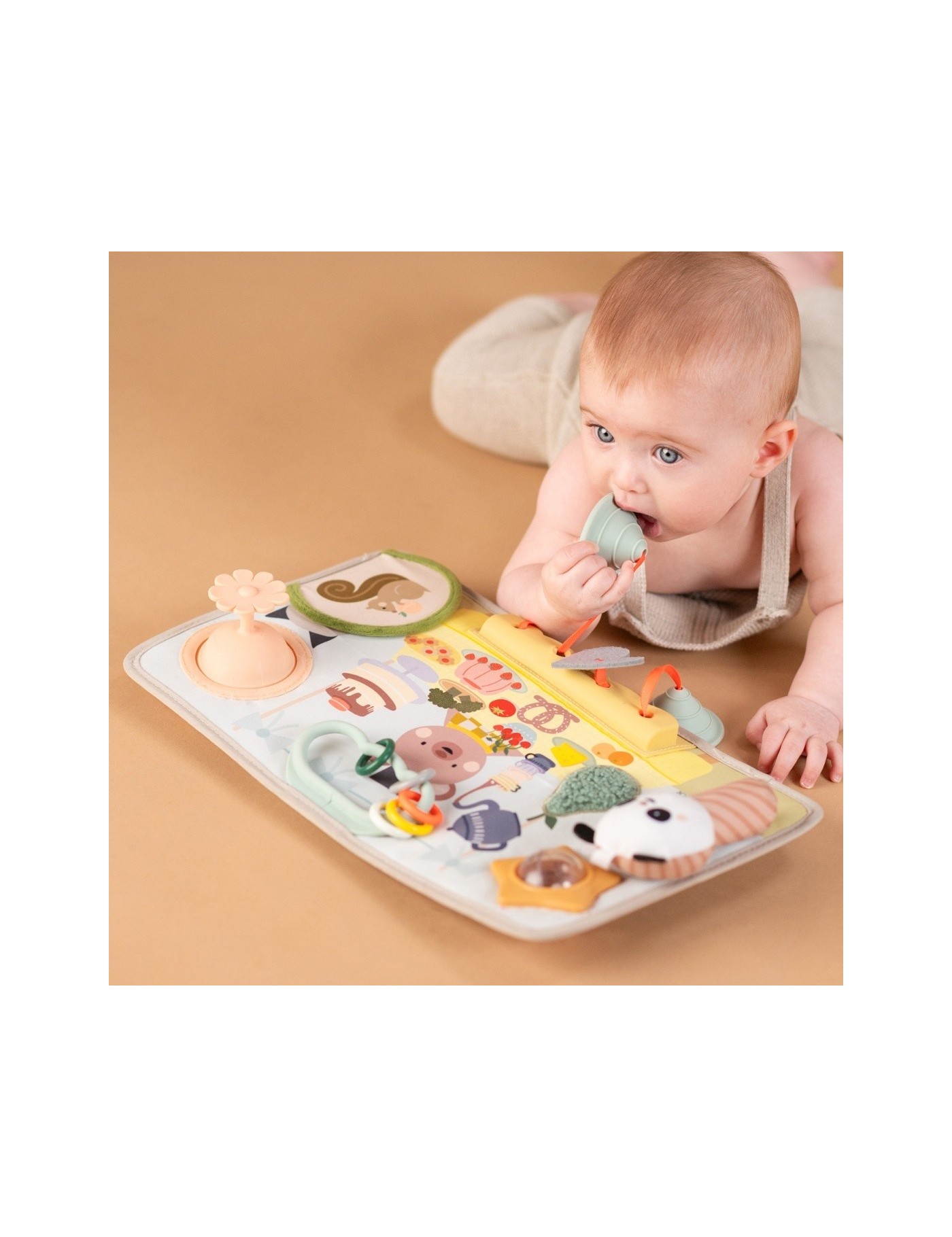Taf Toys Przytulny Miś – Książeczka Sensoryczna 0m+ | Ecobobo