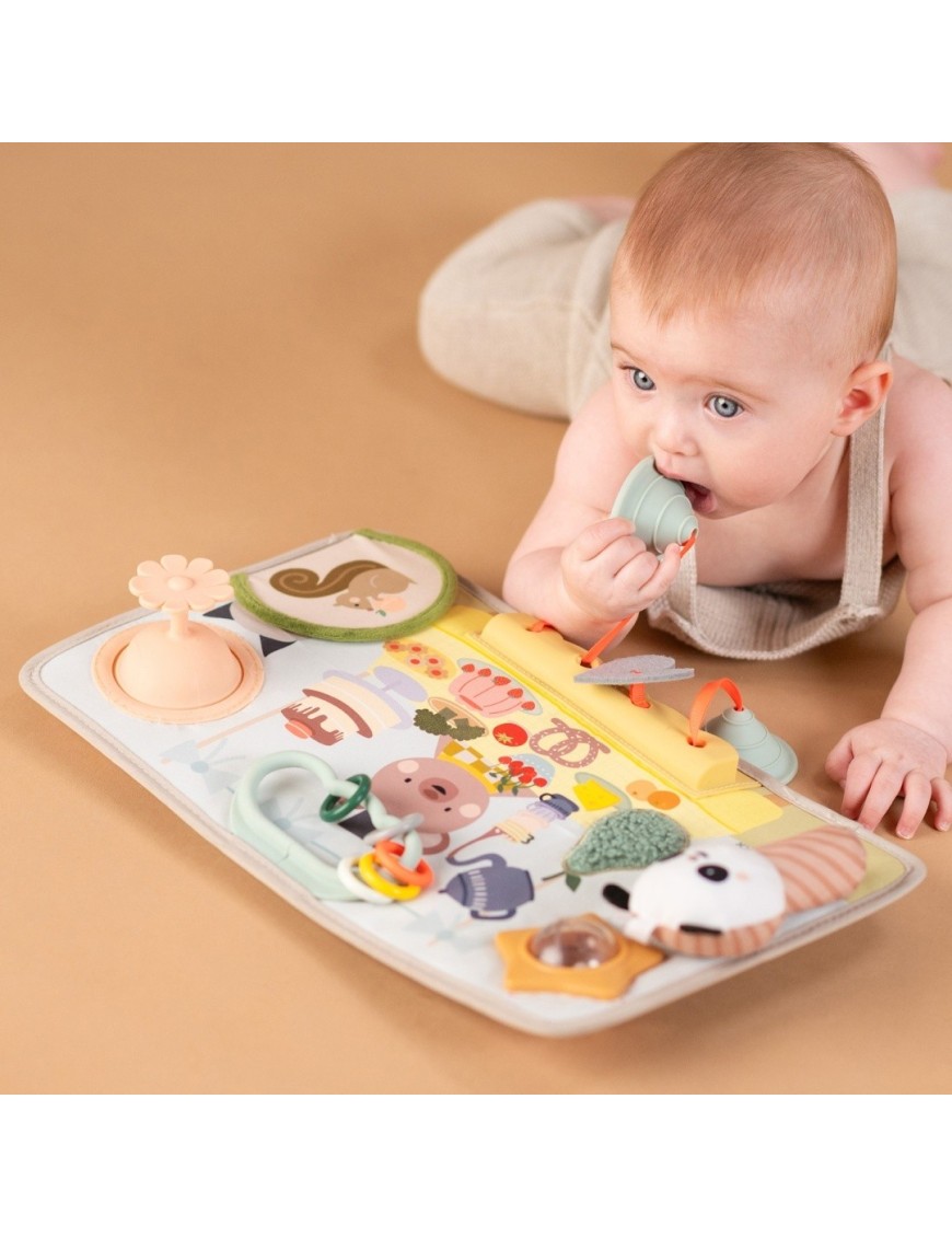 Taf Toys Przytulny Miś – Książeczka Sensoryczna 0m+ | Ecobobo