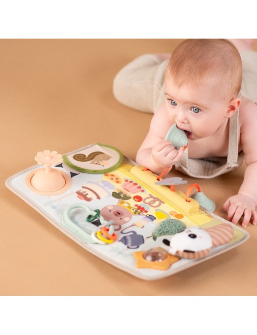 Taf Toys Przytulny Miś – Książeczka Sensoryczna 0m+ | Ecobobo