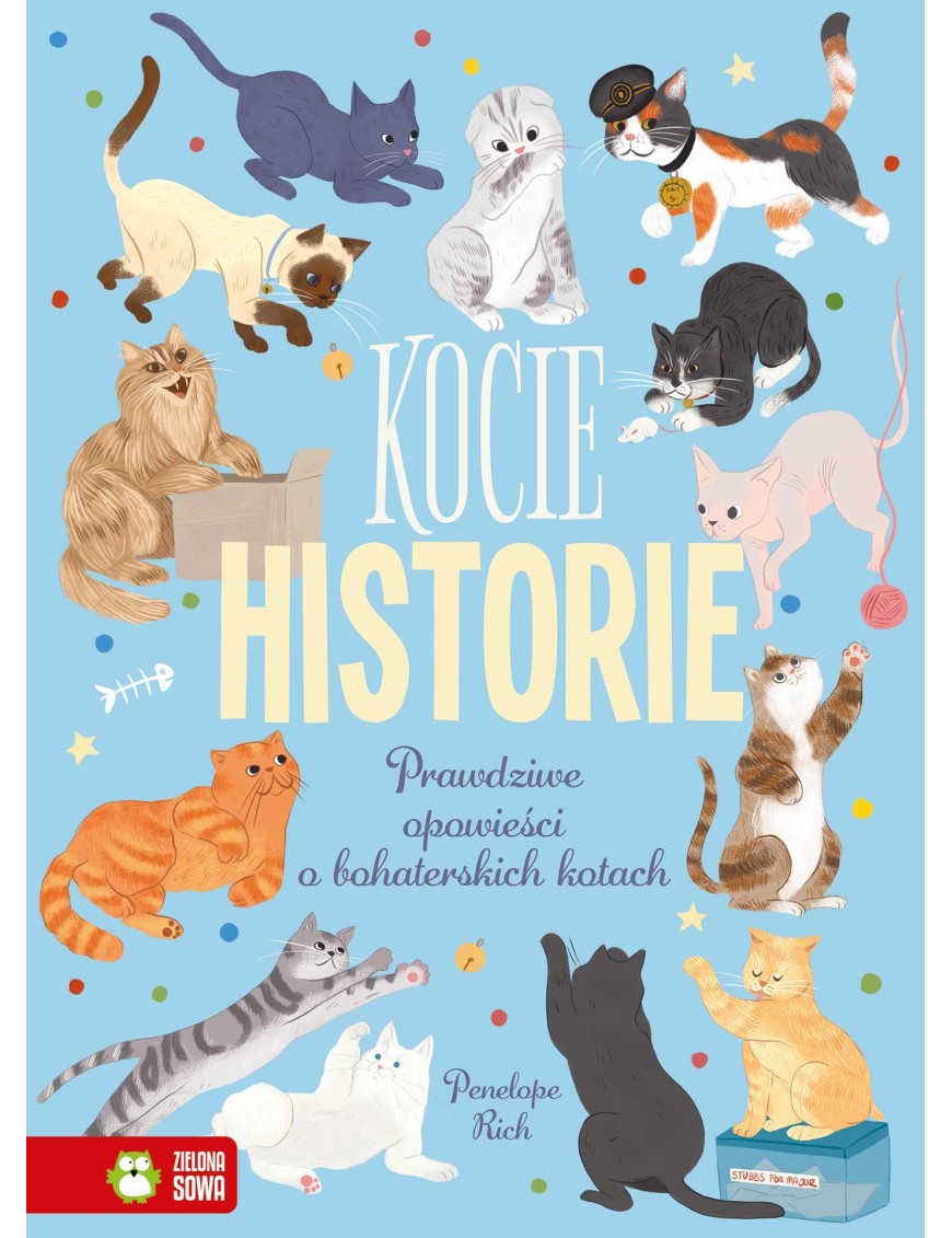 Kocie historie. Prawidzwe opowieści o bohaterskich kotach